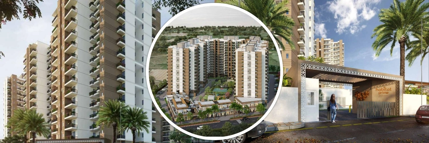 Conscient Habitat Prime