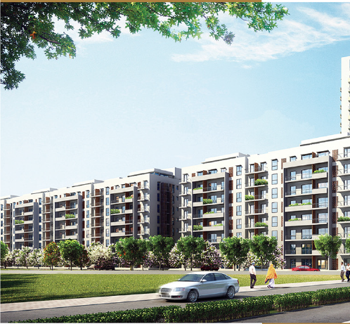 Vatika Seven Elements