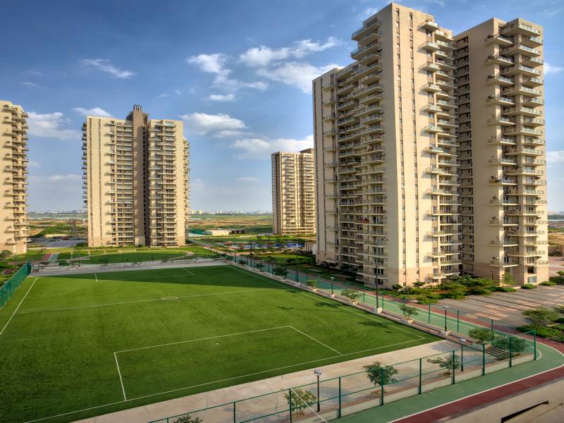 Conscient Heritage Max